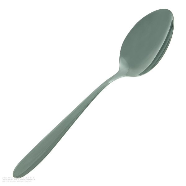 Ложка столова FoREST серія Bluz 19,3 см