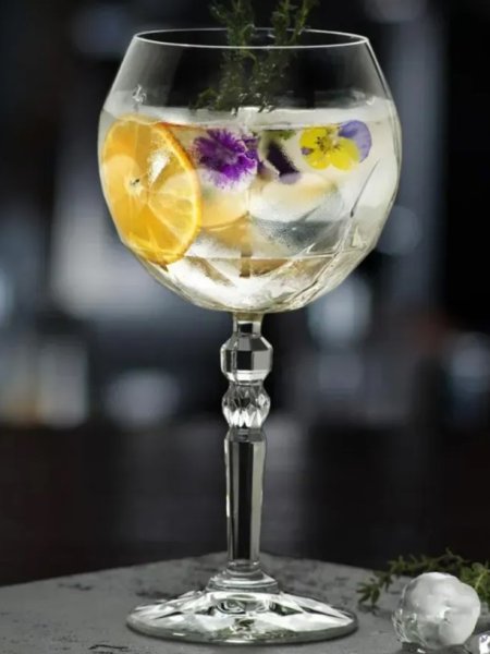 Келих для вина RCR Alkemist Gin Tonic Goblet 580 мл