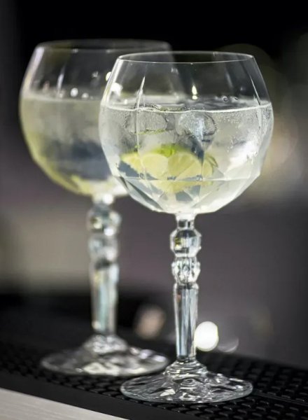 Келих для вина RCR Alkemist Gin Tonic Goblet 580 мл