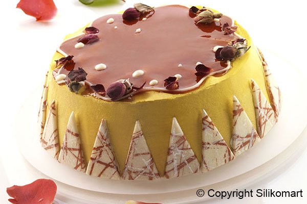 Форма силіконова для торта Silikomart GENOISE 190х67 мм